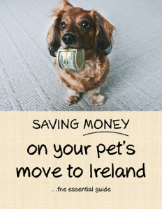 Saving Money on Your Pet's Move to Ireland, the Essential Guide