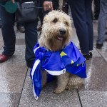 brexit dog